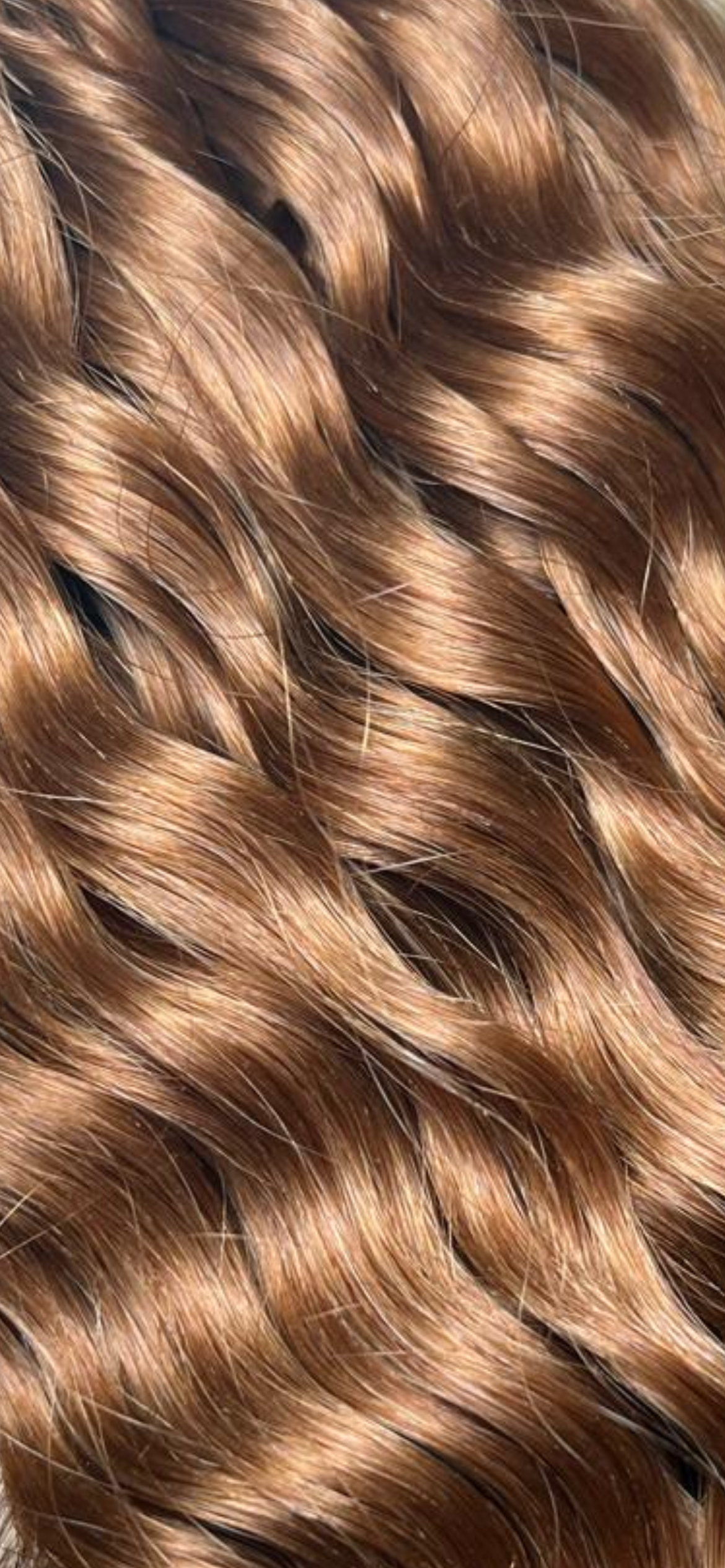 Curly Colored Virgin Hair Wefts